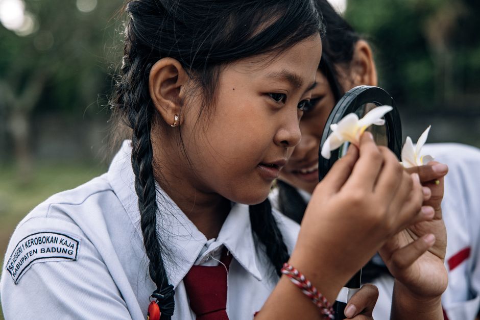 Curious schoolgirls examine flowers with a magnifying glass during outdoor class.