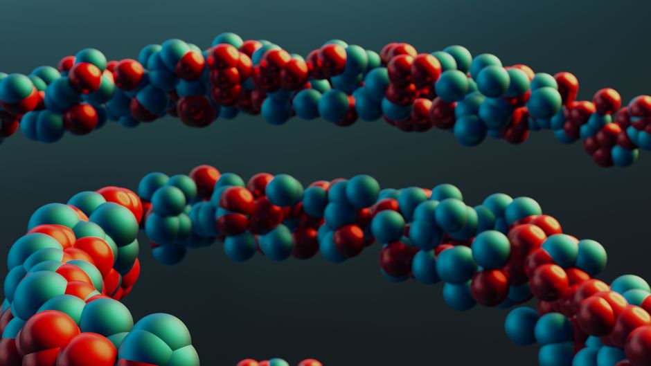 The Biological Foundation: Why Cycles Matter