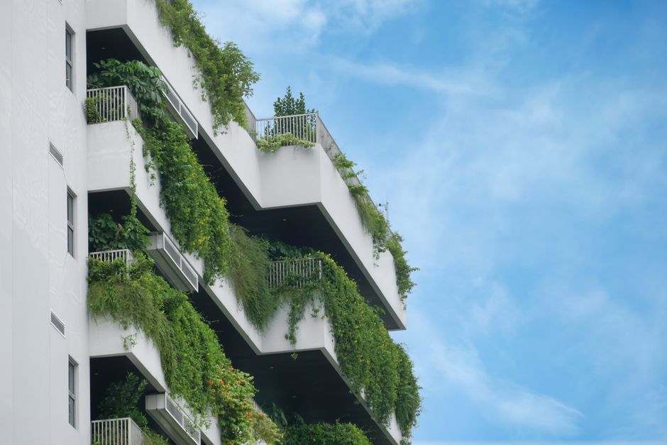 Vertical Gardening for Apartments: Maximize Your Urban Harvest