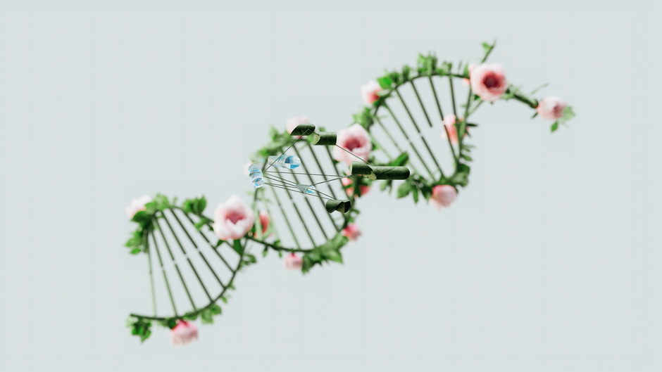 Nutrigenomics: How DNA-Based Personalized Nutrition Works