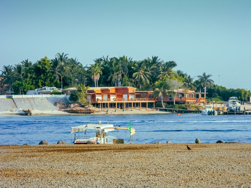 Experience the serene beach vibes and palm-lined shores of Jeddah, perfect for relaxation and exploration.