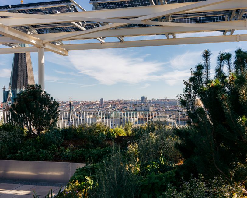 Solar Cooking Guide: Sustainable Kitchen Solutions for Off-Grid Living