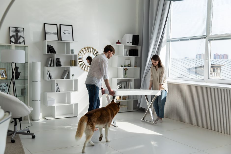 A couple arranging a white desk in a bright, modern home office with a dog present.