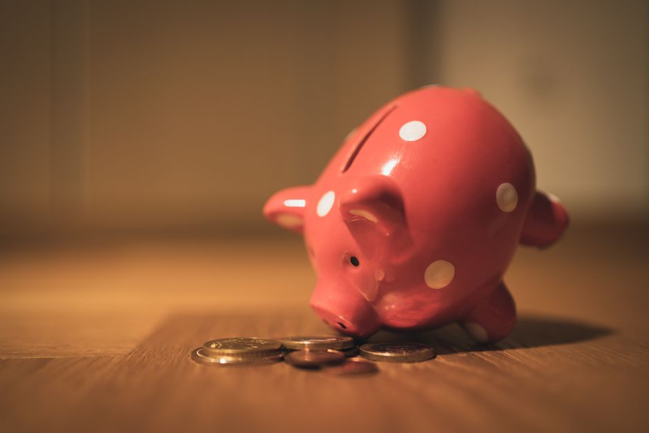 دليل التخطيط المالي لرعاية الحيوانات الأليفة: ميزانية ذكية
