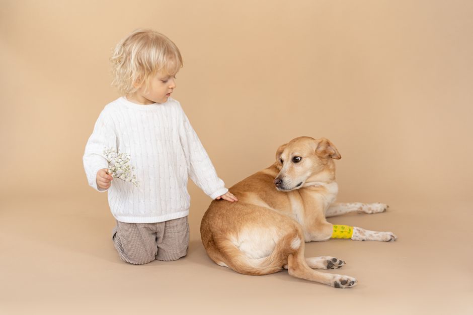 A child kneels beside a dog holding flowers in a studio setting.