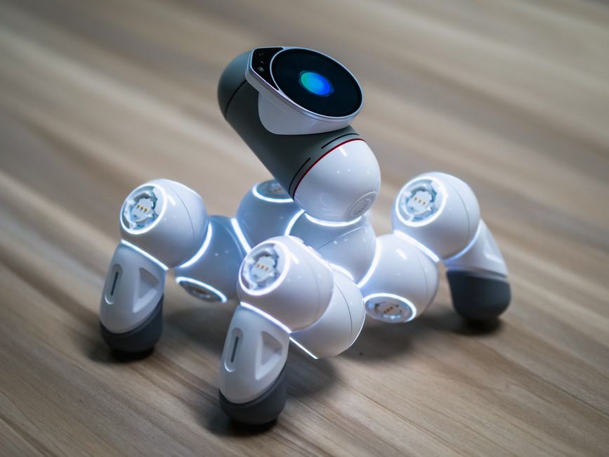 Close-up of an advanced robotic pet dog demonstrating modern technology.